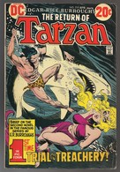 Tarzan Nr 219 - (In English) DC - National Periodical Publications. Inc. - April 1973 - Joe Kubert - BE - DC