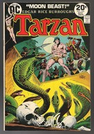 Tarzan Nr 225 - (In English) DC - National Periodical Publications. Inc. - November 1973 - Joe Kubert - BE - DC