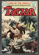 Tarzan Nr 226 - (In English) DC - National Periodical Publications. Inc. - December 1973 - Russ Manning - BE - DC