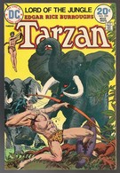 Tarzan Nr 229 - (In English) DC - National Periodical Publications. Inc. - March 1974 - Joe Kubert - BE - DC