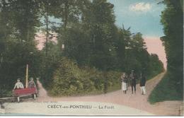 DPT 80 CRECY En PONTHIEU La Forêt CPA TBE Rare - Crecy En Ponthieu