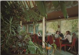 Cafe Florida, Studen-Biel - Jardin D'hiver - Im Tropenpflanzen-Cafe - Studen