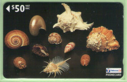 Fiji - 1998 Sea Shells - $50 Shells - FIJ-141 - VFU - Fiji