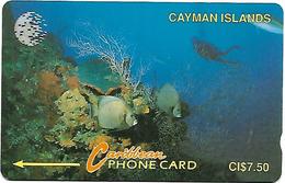 @+ IlesCaiman - Diver In Reef (White New Logo) - 5CCIA...... Ref: CAY-5A - Kaimaninseln (Cayman I.)