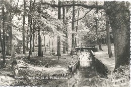 Ermelo, Waterval Bij De Poolse Allee  (type Fotokaart) - Ermelo