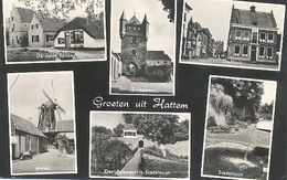 Hattem, Groeten Uit Hattem   (type Fotokaart) - Hattem