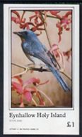 Eynhallow 1982 Birds #14 Imperf Souvenir Sheet (�1 Value) Unmounted Mint - Emissions Locales