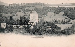 CHATEAU DES CLEES-1900-NON VIAGGIATA - Les Clées