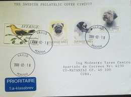 O) 2008 SWEDEN, DOG- BIRD, PHILATELIC COVER CIRCUIT, TO CARIBE - Covers & Documents