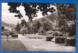 Deutschland; Bad Teinach Zavelstein; Kurpark - Bad Teinach