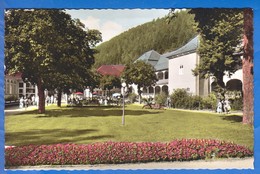Deutschland; Bad Teinach Zavelstein; Kurpark - Bad Teinach