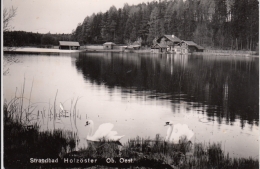 AK - OÖ - FRANKING - Idylle Mit Strandbad HOLZÖSTERSEE 1964 - Braunau