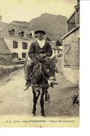 Cpa  Les Pyrénées Vieux Montagnard - Andere & Zonder Classificatie