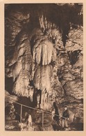 Isère : Grottes De La Balme : Le Saule Pleureur - La Balme-les-Grottes