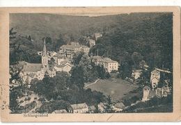 SCHLANGENBAD   (  Allemagne )  Vue  Panoramique Aérienne . - Schlangenbad