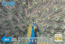 Carte Prépayée Japon - Oiseau PAON 5500 - PEACOCK Bird Japan Prepaid Card - PFAU Vogel - Hiro 4561 - Hoenderachtigen & Fazanten