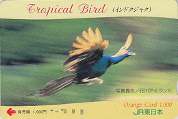 Rare Carte Orange Japon - Série TROPICAL BIRD - Oiseau - PAON BLEU En Vol - PEACOCK Flying Japan JR Card - PFAU - 4565 - Gallinaceans & Pheasants