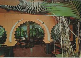 Cafe Florida, Studen-Biel - Jardin D'hiver - Maroc - Studen