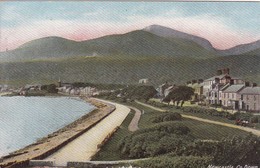 Postcard Newcastle Co Down By Lawrence Of Dublin C Pre WW1 My Ref  B12560 - Down