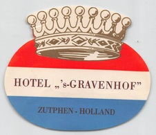 D8593 " HOTEL - S-GRAVENHOF - ZUTPHEN - HOLLAND " ETICHETTA ORIGINALE - ORIGINAL LABEL - Etiquettes D'hotels