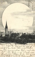 WESEL, Panorma Mit Kirche (1900) AK - Wesel