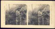 SOUTH AMERICA SEMI NUDE WOMAN     Stereo 1907 - Stereoscopi