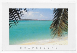 GUADELOUPE - N° 102 - SAINT MARTIN - PLAGE DE GREAT BAY - CPM GF VOYAGEE - Saint Martin