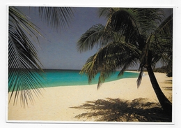 GUADELOUPE - N° 326 - SABLE BLANC MER BLEUE ET SOLITUDE - CPM GF VOYAGEE - Saint Martin