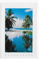 GUADELOUPE - N° 630 - REFLETS DES COCOTIERS - CPM GF VOYAGEE - Saint Martin