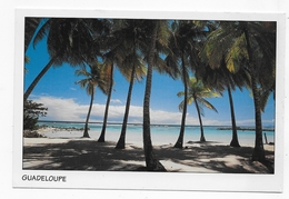 GUADELOUPE - N° 625 - A L' OMBRE DES COCOTIERS - CPM GF VOYAGEE - Saint Martin