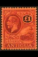 1921-29 £1 Purple And Black / Red, SG 61, Never Hinged Mint. Superb. For More Images, Please Visit Http://www.sandafayre - Otros & Sin Clasificación