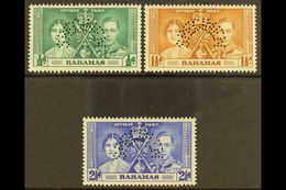 1937 Coronation Set Complete, Perforated "Specimen", SG 146s/8s, Very Fine Mint, Large Part Og. (3 Stamps) For More Imag - Sonstige & Ohne Zuordnung