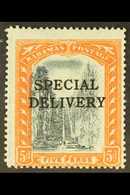 SPECIAL DELIVERY 1916 5d Black & Orange Overprint WATERMARK REVERSED Variety, SG S1x, Fine Very Lightly Hinged Mint, Cen - Otros & Sin Clasificación