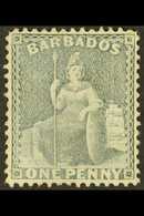1875 1d Grey-blue, Wmk CC, Perf 14, SG 74, Very Fine Mint. For More Images, Please Visit Http://www.sandafayre.com/itemd - Barbados (...-1966)