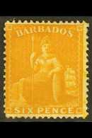 1875 6d Chrome Yellow, Wmk CC, Perf 14, SG 79, Very Fine Mint. For More Images, Please Visit Http://www.sandafayre.com/i - Barbados (...-1966)