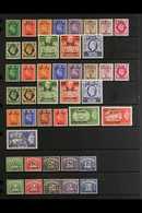 ERITREA 1948-1951 COMPLETE SUPERB MINT COLLECTION On A Stock Page, All Different, Includes 1948-49, 1950 & 1951 (5s & 10 - Africa Oriental Italiana
