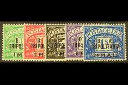 TRIPOLITANIA POSTAGE DUES 1950 B.A. Surch Set Complete, SG TD6/10, Very Fine Mint. (5 Stamps) For More Images, Please Vi - Italienisch Ost-Afrika