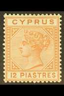 1892-94 12pi Orange-brown, SG 37, Fine Mint. For More Images, Please Visit Http://www.sandafayre.com/itemdetails.aspx?s= - Other & Unclassified
