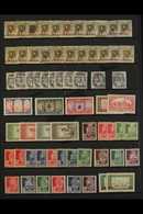 ALGERIA 1924-1958 FINE MINT RANGES With Some Duplication On Stock Pages, Includes 1927 +2f On 2f & +5f On 5f Surcharges, - Sonstige & Ohne Zuordnung