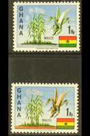 1967 1np Maize With SALMON COLOUR OMITTED (+ A Normal Stamp For Comparison), SG 460a + 460, Never Hinged Mint (2 Stamps) - Ghana (1957-...)