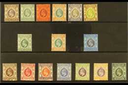 1903-11 ALL DIFFERENT MINT KEVII SELECTION Presented On A Stock Card That Includes 1903 CA Wmk 1c, 2c, 4c, 5c, 8c & 12c, - Otros & Sin Clasificación