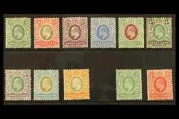 1905 Ed VII Set Complete Plus 1909 ½a And 1a, SG 45/59, Very Fine Mint. (11 Stamps) For More Images, Please Visit Http:/ - Somaliland (Herrschaft ...-1959)