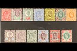 1902 Ed VII Complete Basic Set To 1s, DLR Printings, SG 219 - 257a, Very Fine And Fresh Mint. (13 Stamps) For More Image - Sin Clasificación