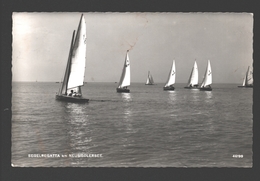 Neusiedlersee - Segelregatta Am Neusiedlersee - Sailing / Voilier / Regatta / Zeilboot - Fotokarte / Photo Card - 1956 - Neusiedlerseeorte
