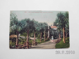 Oakland. - Palm Walk, Piedmont Park. (27 - 2 - 1913) - Oakland