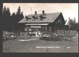 Grünbach An Der Schneeberg - Hohe Wand - Rastkreuz - Stoanwandlerhütte - Schlag Hütte - 1958 - Foto Egelseer - Schneeberggebiet