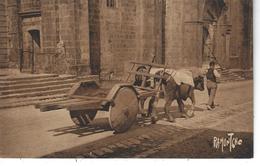 64 - URRUGNE - T.Belle Vue Animée D' Un Attelage Passant Devant L'Eglise - Urrugne