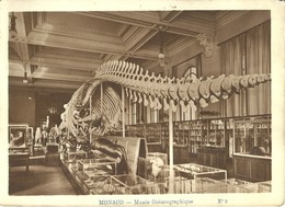 1229 " MONACO - MUSEE OCEANOGRAPHIQUE - FOTO N° 9 " I FOTO ORIG. - Oceanographic Museum