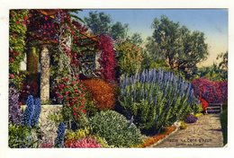 Cpa N° 12279 COTE D ' AZUR Jardin En Fleurs - Provence-Alpes-Côte D'Azur