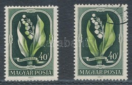 ** 1951 Virág II. 40f A Zöld Szín 5 Mm-es Elcsúszásával / Mi 1209 Shifted Green Colour - Altri & Non Classificati